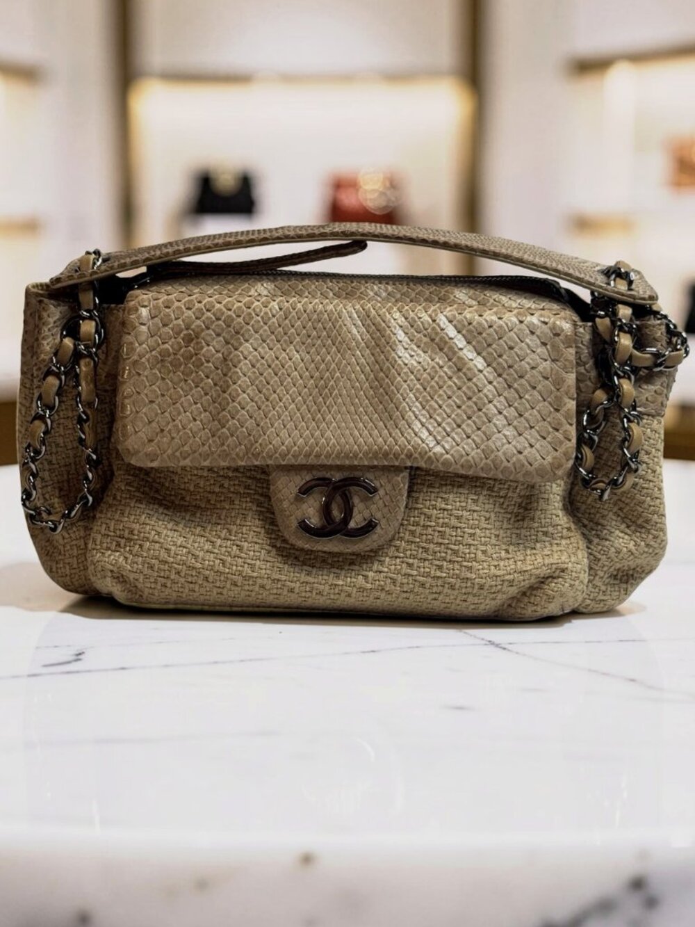 Chanel Python-Trimmed Accordion Flap Bag Taupe Exotic